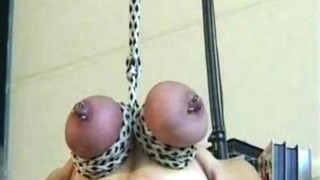 Amadoras, BDSM, Peitos grandes, Morenas, MILF