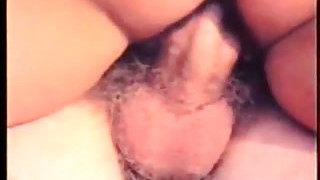 Pornô dinamarquês