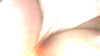 Spion