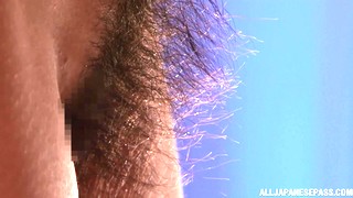 毛发, 日本色情