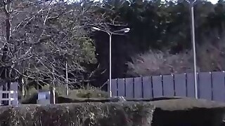 Consolo, Pornô japonês
