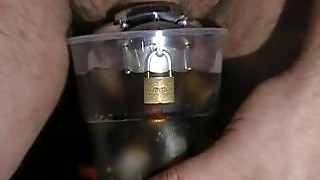 BDSM, Dominacion femenina