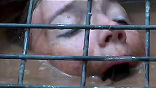 Culonas, BDSM, Juguetes